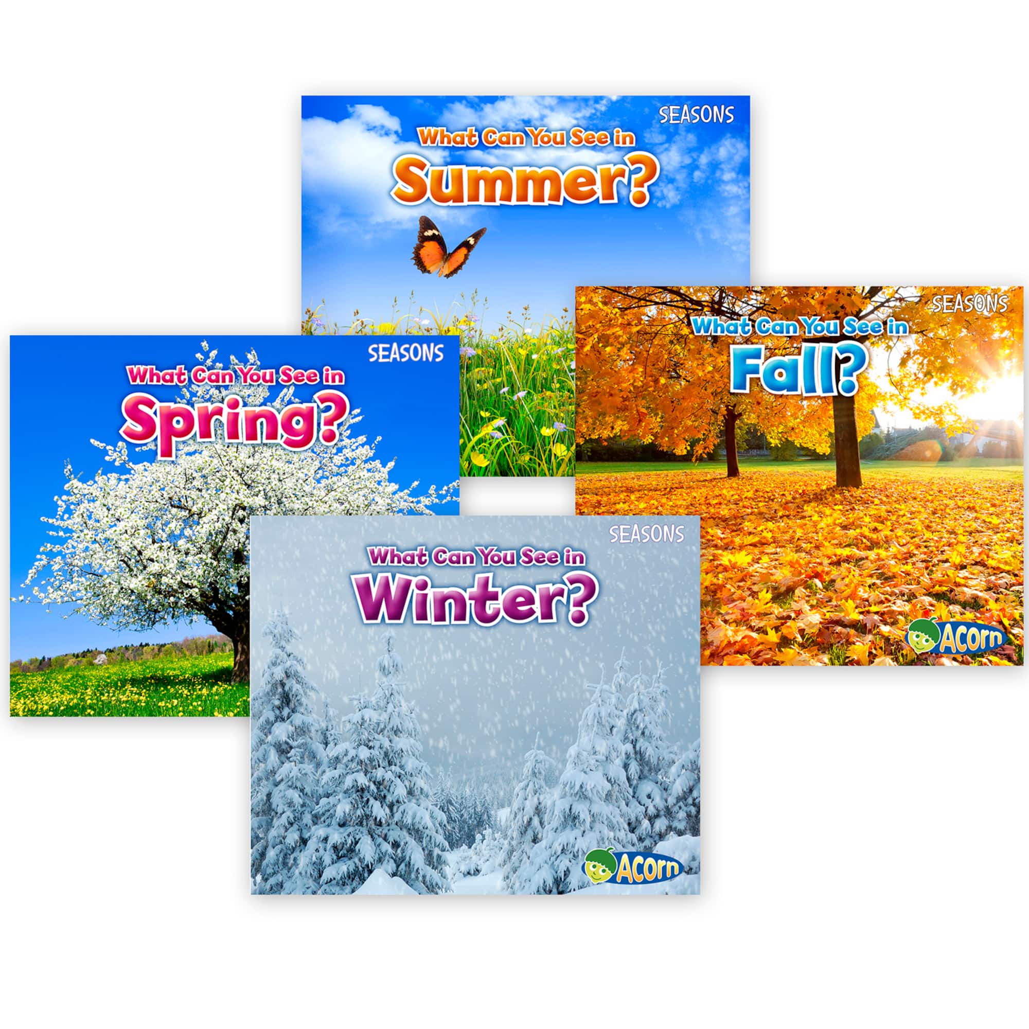 Capstone Press Seasons 4 Book Set